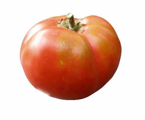 Marglobe – Medium sized globe-shaped tomatoes 