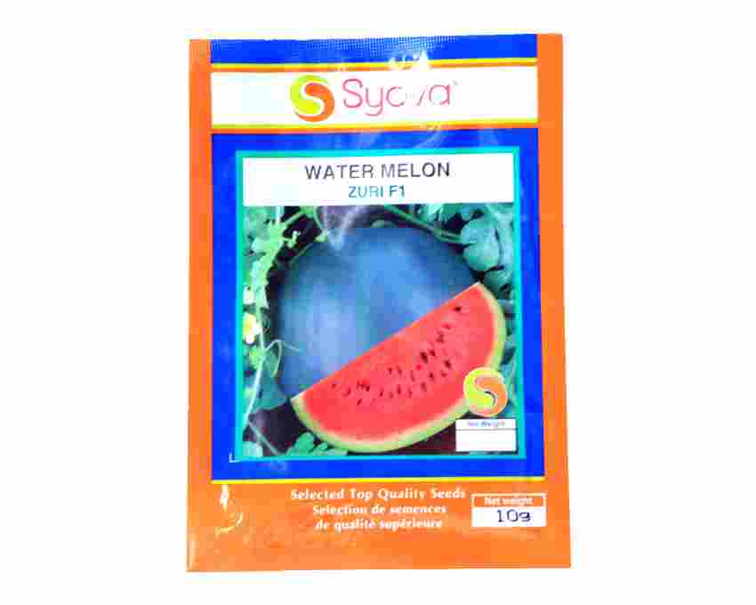 Zuri F1 – Watermelon, high yielding with a crispy texture and very sweet 