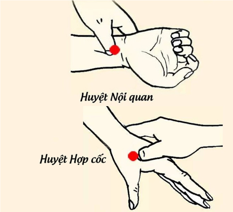 Bấm huyệt giúp chống say xe