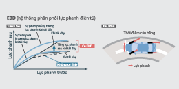 Phân bổ lực phanh vios