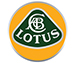 Lotus icon