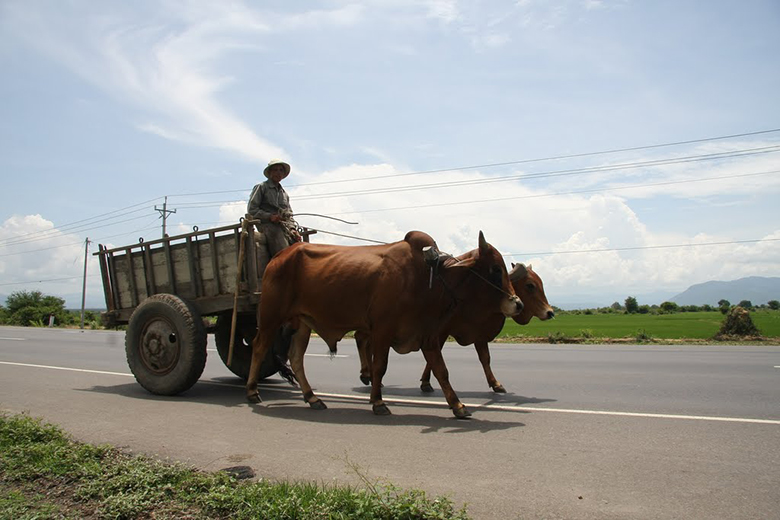 Phương tiện giao thông thô sơ đường bộ