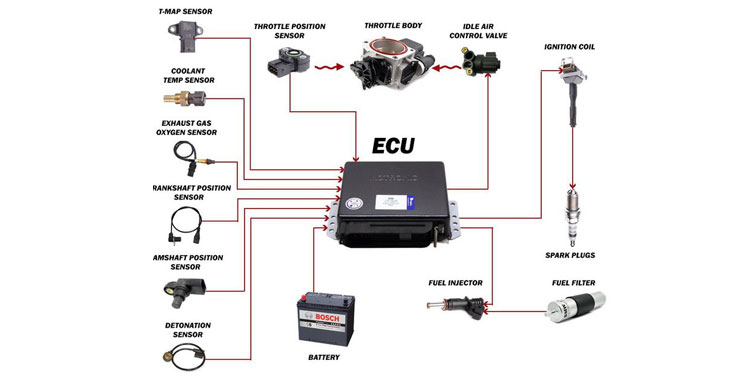 Bộ cảm biến ECU