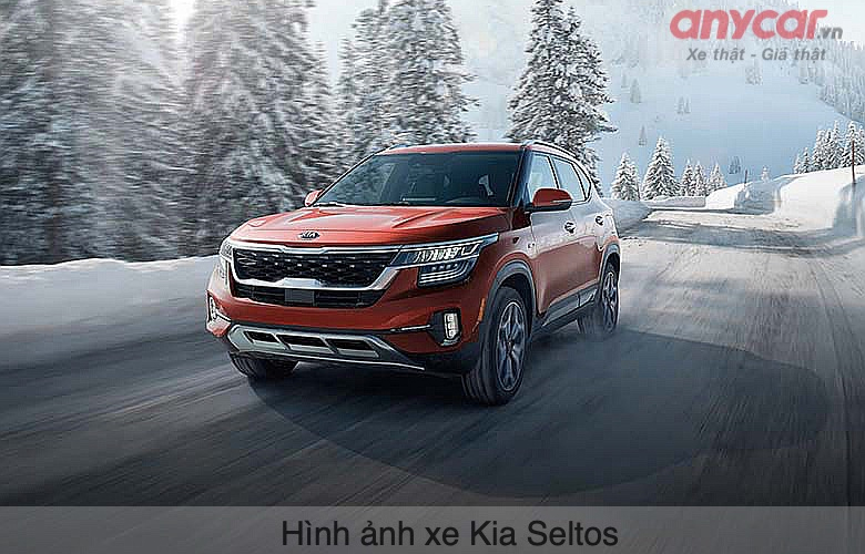 SUV 5 chỗ gầm cao giá rẻ: KIA SELTOS