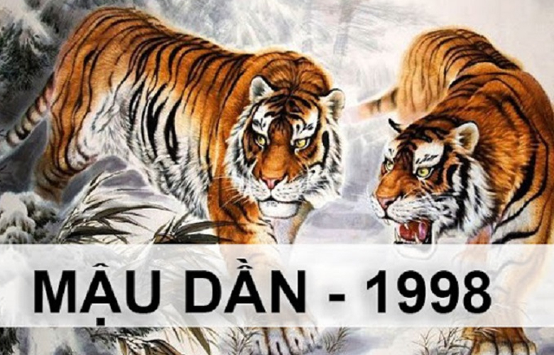 Tuổi Mậu Dần mua xe màu gì hợp phong thủy?