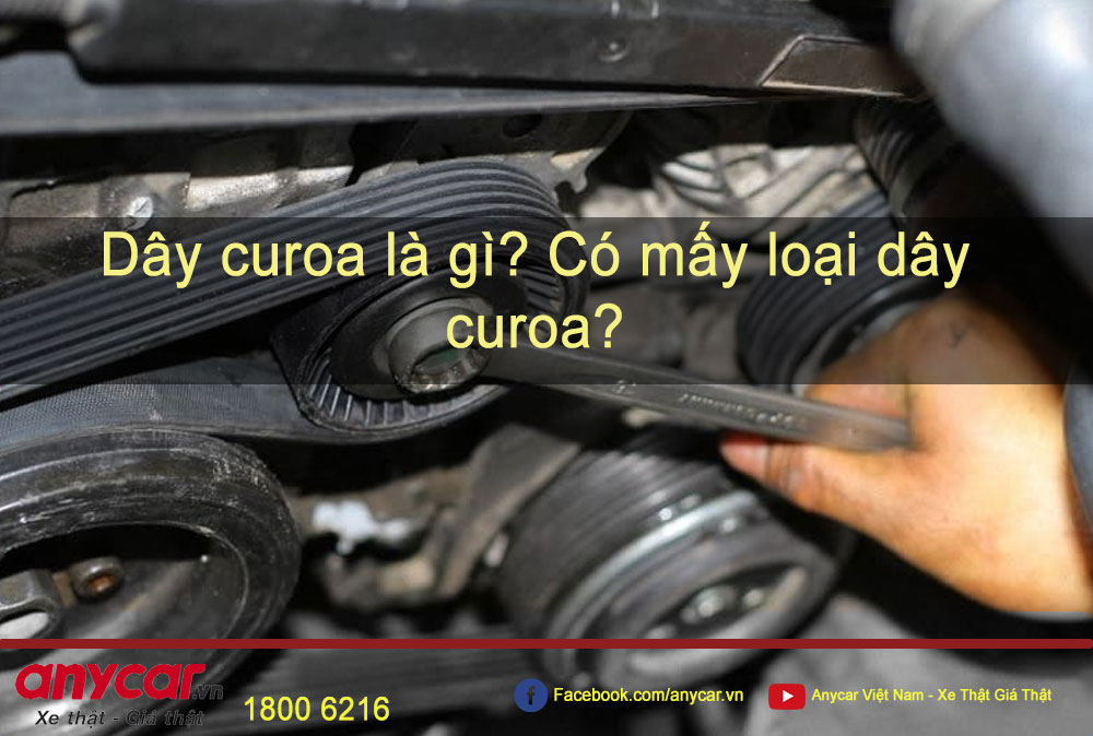 Dây curoa là gì? Có mấy loại dây curoa? | anycar.vn