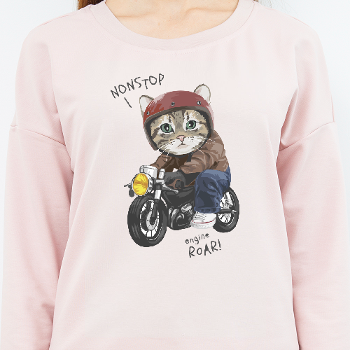 Свитшот Кіт на мотоциклі