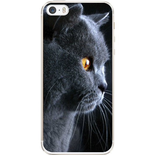 Чехол BoxFace iPhone 5 5S 5SE English cat