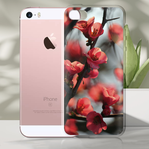 Чехол BoxFace iPhone 5 5S 5SE Awakening Spring