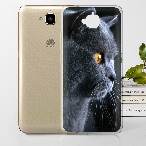 Чехол Boxface Huawei Y6 Pro English cat