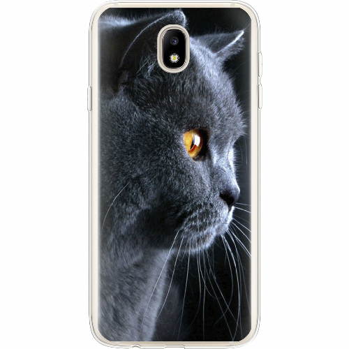 Чехол BoxFace Samsung J730 Galaxy J7 2017 English cat