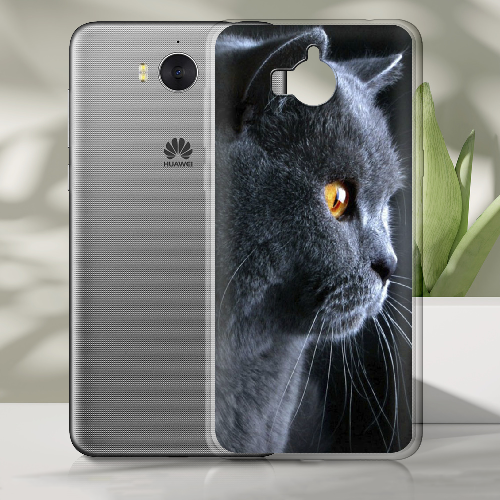 Чехол BoxFace Huawei Y5 2017 English cat