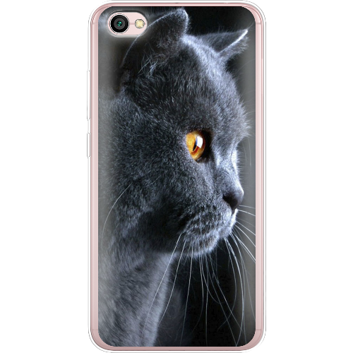 Чехол BoxFace Xiaomi Redmi Note 5A English cat