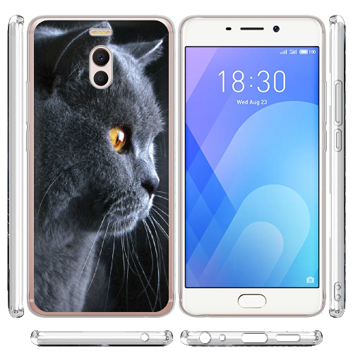 Чехол Boxface Meizu M6 Note English cat