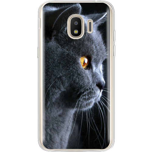 Чехол BoxFace Samsung J250 Galaxy J2 2018 English cat