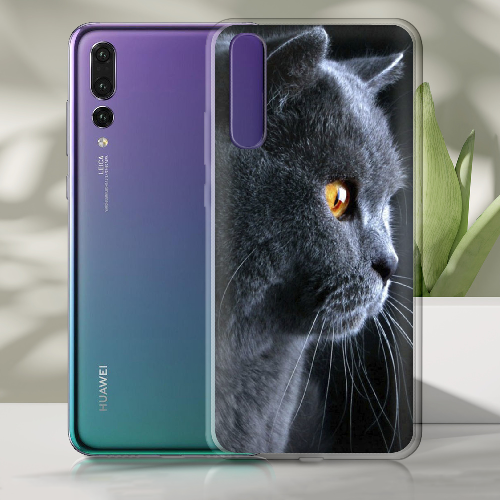 Чехол BoxFace Huawei P20 English cat