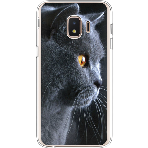 Чехол BoxFace Samsung J260 Galaxy J2 Core English cat