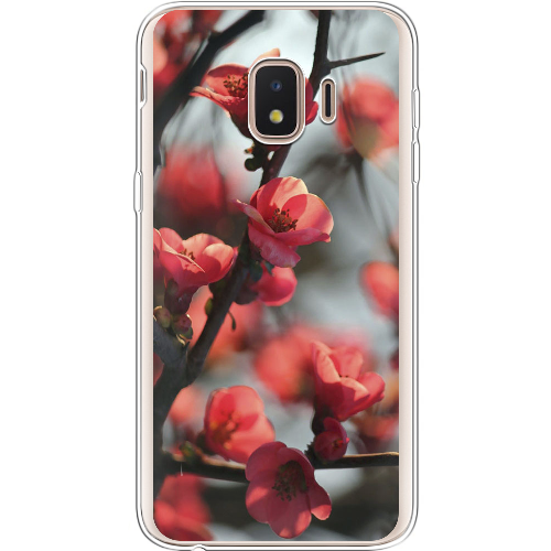 Чехол BoxFace Samsung J260 Galaxy J2 Core Awakening Spring