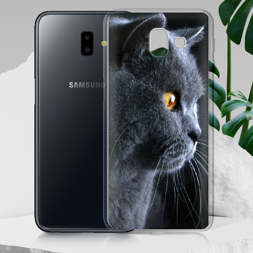 Чехол BoxFace Samsung J610 Galaxy J6 Plus 2018 English cat