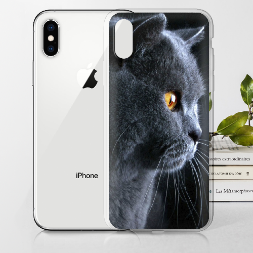 Чехол BoxFace iPhone XS English cat