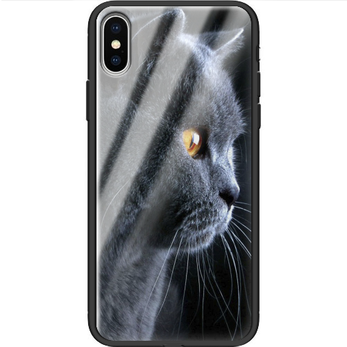 Чехол BoxFace iPhone XS English cat