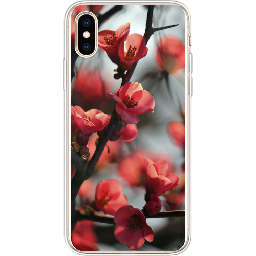 Чехол BoxFace iPhone XS Awakening Spring