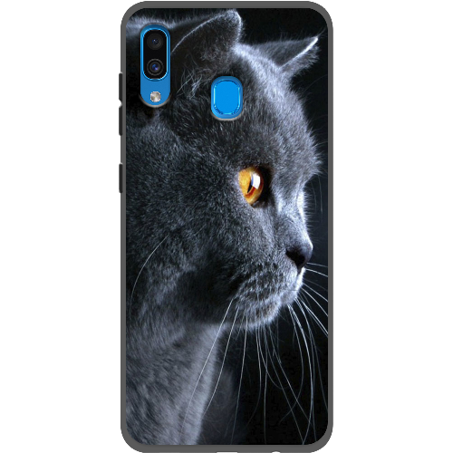 Чехол BoxFace Samsung A305 Galaxy A30 English cat