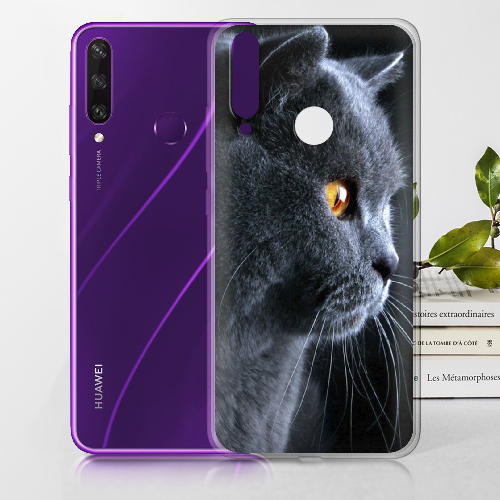 Чехол Boxface Huawei Y6p English cat