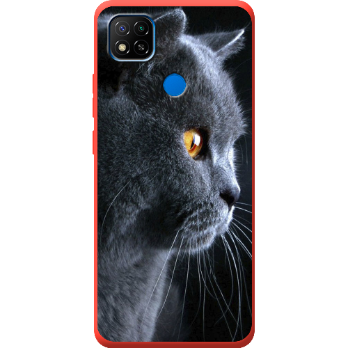 Чехол BoxFace Xiaomi Redmi 9C English cat