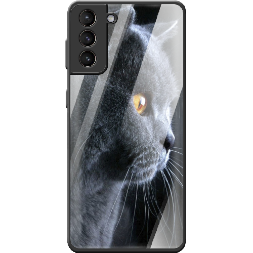 Чехол BoxFace Samsung G991 Galaxy S21 English cat