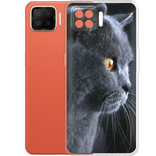 Чехол BoxFace OPPO A73 English cat