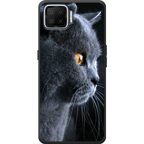 Чехол BoxFace OPPO A73 English cat