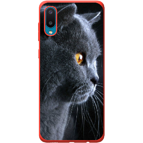 Чехол BoxFace Samsung A022 Galaxy A02 English cat