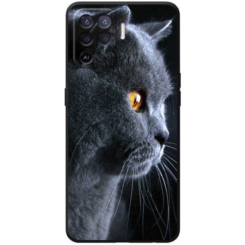 Чехол BoxFace OPPO Reno5 Lite English cat