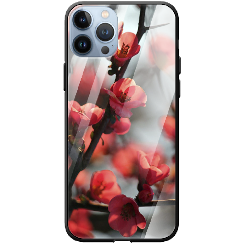 Чехол BoxFace iPhone 13 Pro Awakening Spring