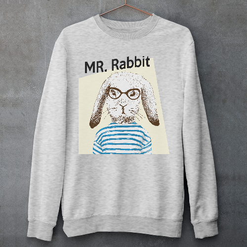 Мужской свитшот Mr Rabbit