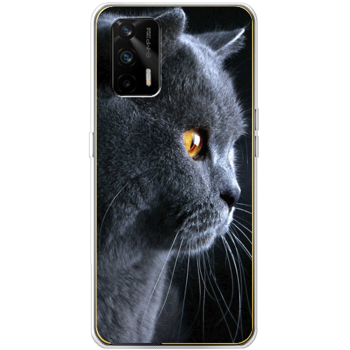 Чехол BoxFace Realme GT English cat