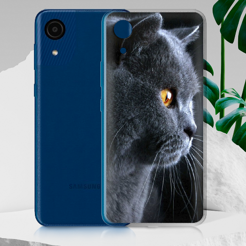 Чехол BoxFace Samsung Galaxy A03 Core (A032) English cat