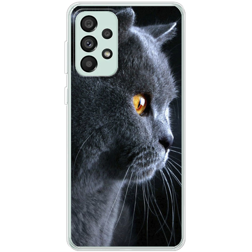 Чехол BoxFace Samsung Galaxy A53 5G (A536) English cat