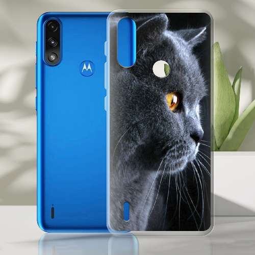 Чехол BoxFace Motorola E7 Power English cat