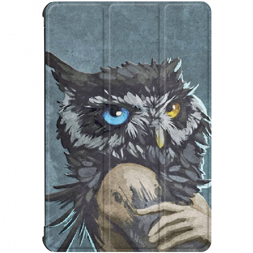 Чехол для Samsung Galaxy Tab S7 FE T733/T735 12.4" Owl Woman