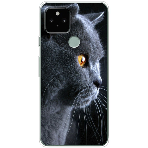 Чехол BoxFace Google Pixel 5A English cat