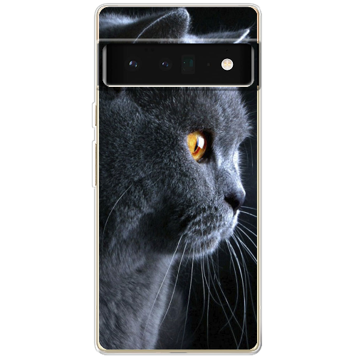 Чехол BoxFace Google Pixel 6 Pro English cat