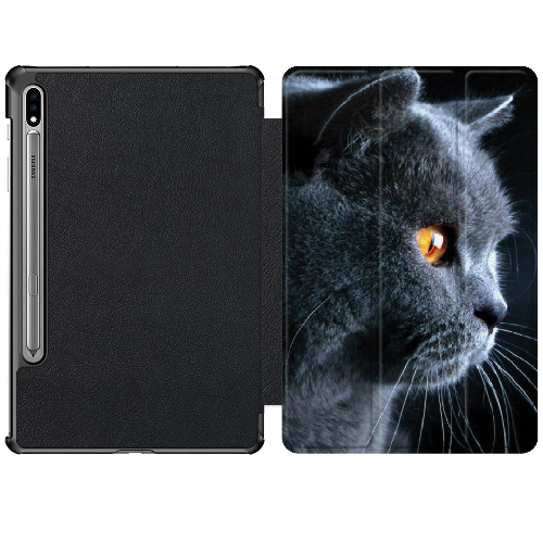 Чехол для Samsung Galaxy Tab S8 X700/X706 11" English cat