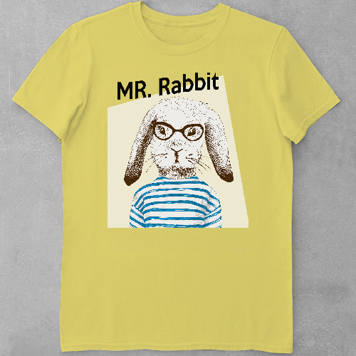 Дитяча футболка для хлопчиків Mr Rabbit