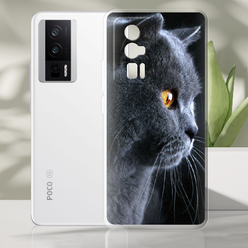 Чехол BoxFace Poco F5 Pro English cat