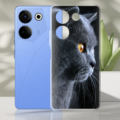 Чехол BoxFace Tecno Camon 20 Pro 4G English cat