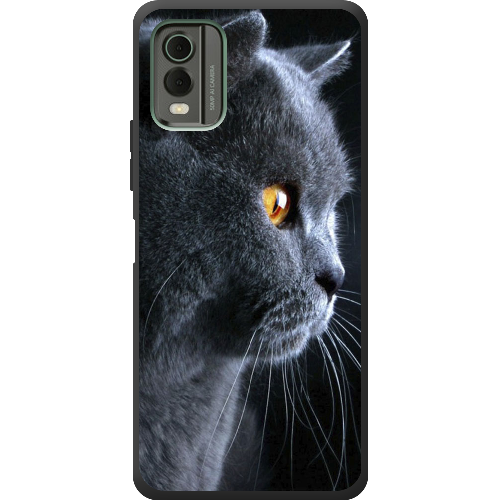 Чехол BoxFace Nokia C32 English cat