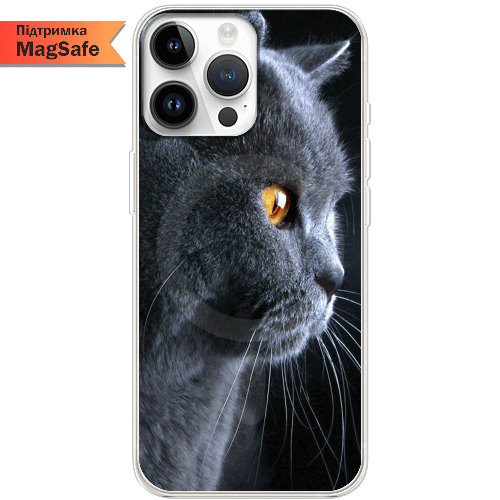 Чехол BoxFace iPhone 15 Pro Max English cat