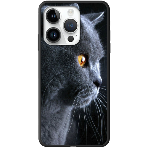 Чехол BoxFace iPhone 15 Pro Max English cat